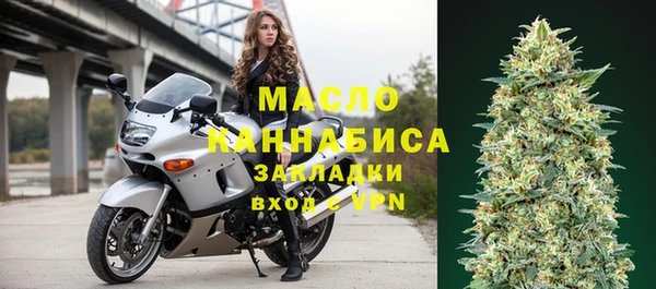 стафф Ельня