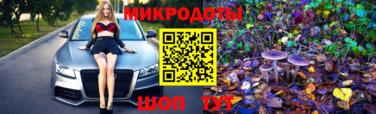 как найти наркотики  Галлюциногенные грибы Psilocybine cubensis  Галлюциногенные грибы Psilocybine cubensis  Вход с VPN  Назрань 