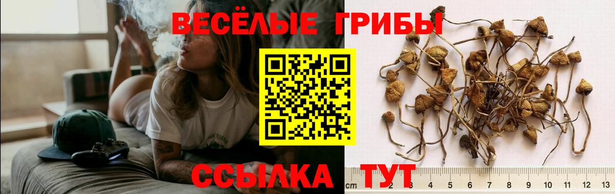 Псилоцибиновые грибы прущие грибы Назрань